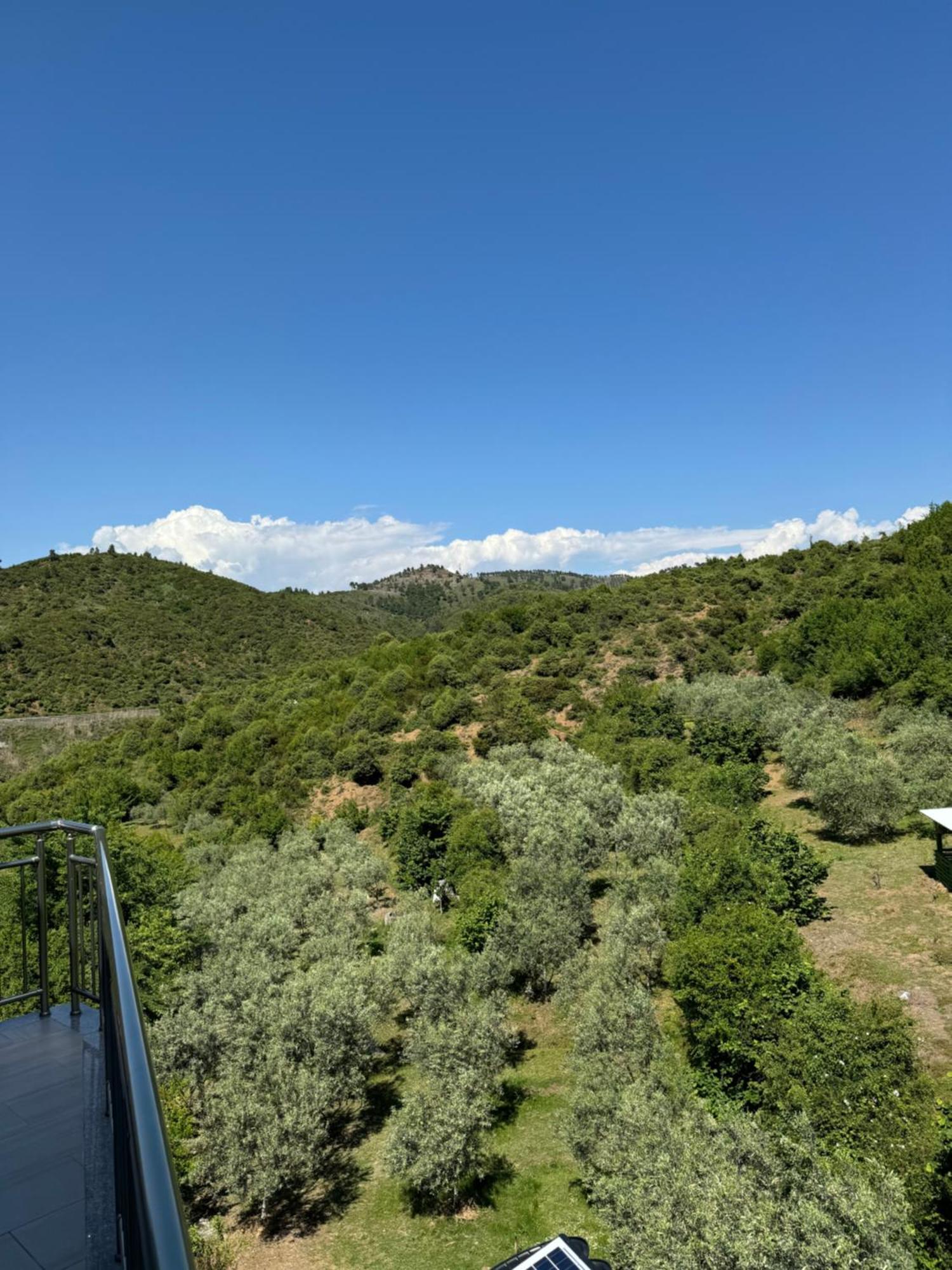 Qyteza Guest House & Camping Shkodër Eksteriør bilde